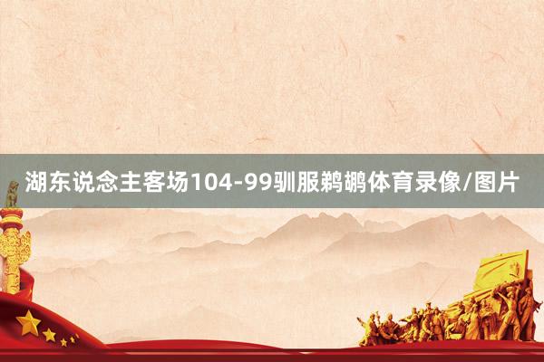 湖东说念主客场104-99驯服鹈鹕体育录像/图片