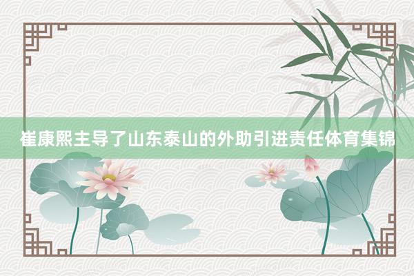 崔康熙主导了山东泰山的外助引进责任体育集锦
