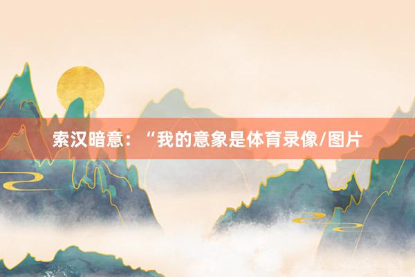 索汉暗意：“我的意象是体育录像/图片