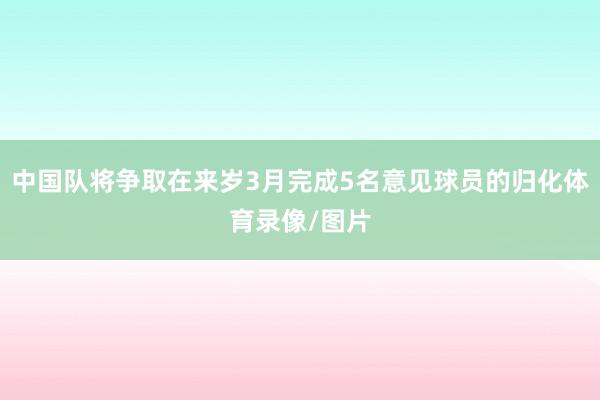 中国队将争取在来岁3月完成5名意见球员的归化体育录像/图片