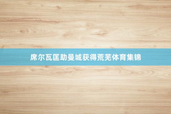 席尔瓦匡助曼城获得荒芜体育集锦