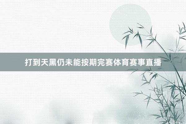 打到天黑仍未能按期完赛体育赛事直播