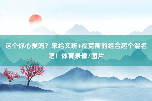 这个你心爱吗？来给文班+福克斯的组合起个混名吧！体育录像/图片