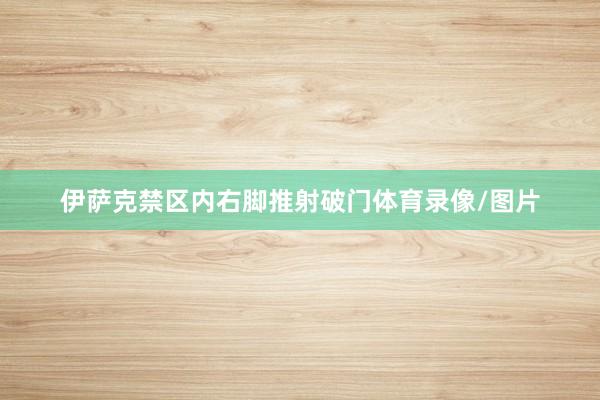 伊萨克禁区内右脚推射破门体育录像/图片