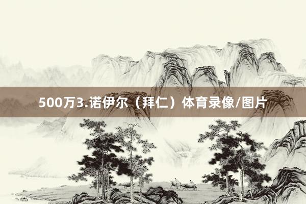 500万3.诺伊尔（拜仁）体育录像/图片