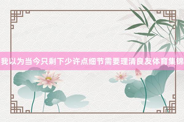 我以为当今只剩下少许点细节需要理清良友体育集锦