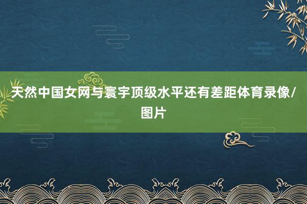 天然中国女网与寰宇顶级水平还有差距体育录像/图片