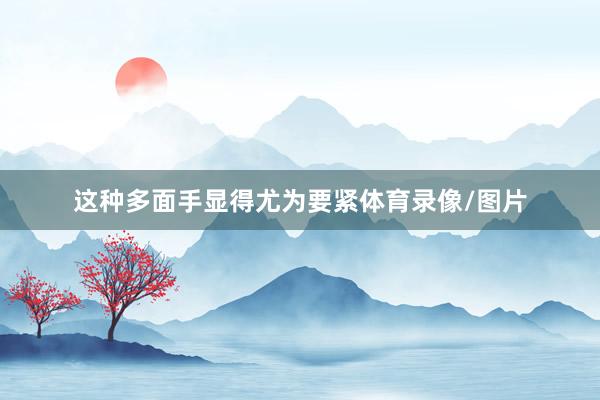 这种多面手显得尤为要紧体育录像/图片