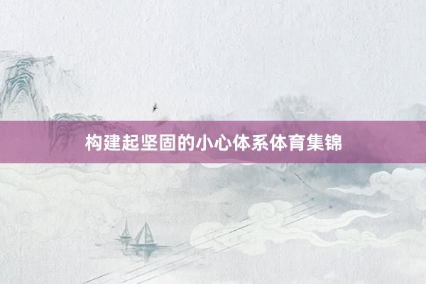 构建起坚固的小心体系体育集锦