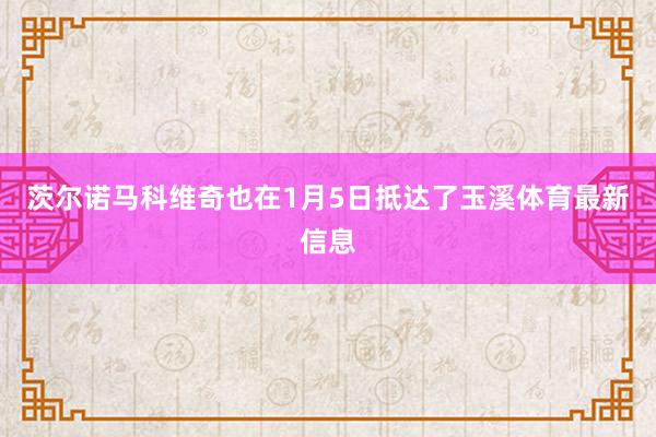茨尔诺马科维奇也在1月5日抵达了玉溪体育最新信息