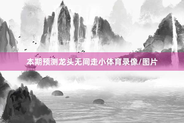 本期预测龙头无间走小体育录像/图片