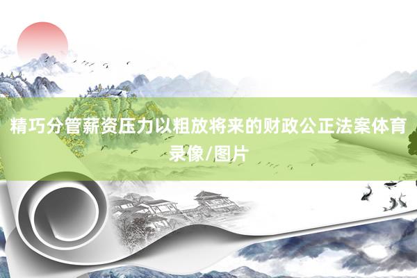 精巧分管薪资压力以粗放将来的财政公正法案体育录像/图片