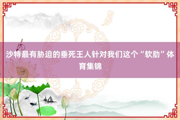沙特最有胁迫的垂死王人针对我们这个“软肋”体育集锦