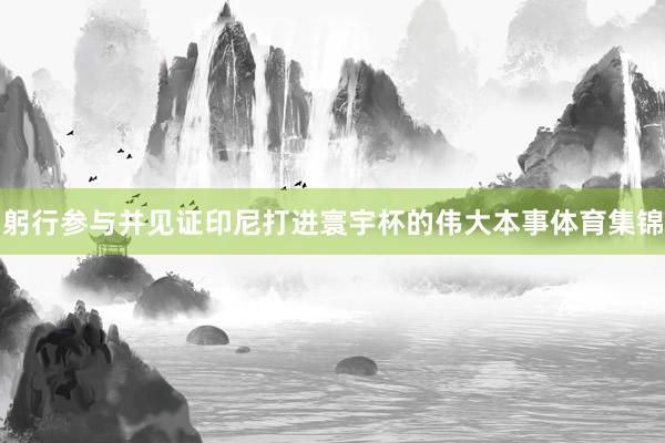 躬行参与并见证印尼打进寰宇杯的伟大本事体育集锦