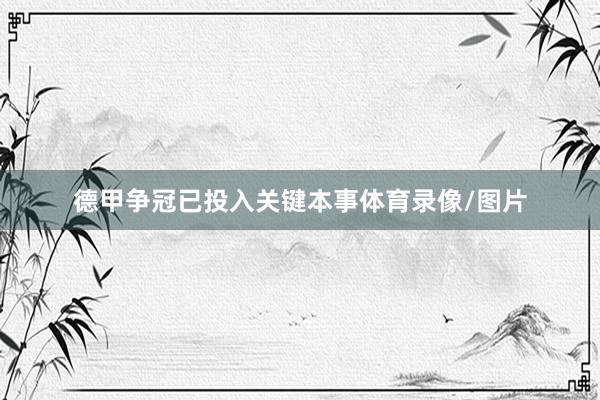 德甲争冠已投入关键本事体育录像/图片