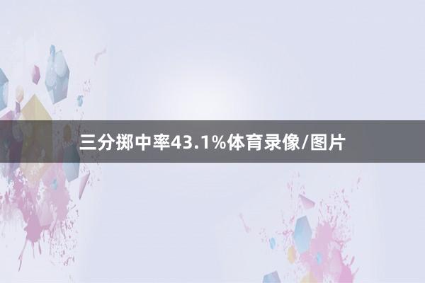 三分掷中率43.1%体育录像/图片