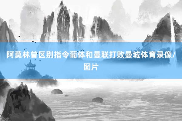 阿莫林曾区别指令葡体和曼联打败曼城体育录像/图片