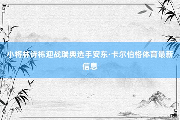 小将林诗栋迎战瑞典选手安东·卡尔伯格体育最新信息
