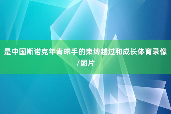 是中国斯诺克年青球手的束缚越过和成长体育录像/图片
