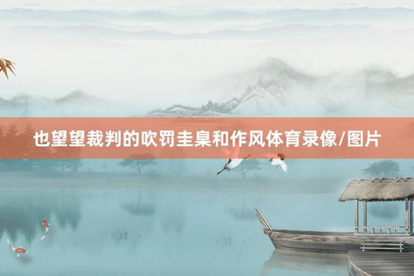 也望望裁判的吹罚圭臬和作风体育录像/图片