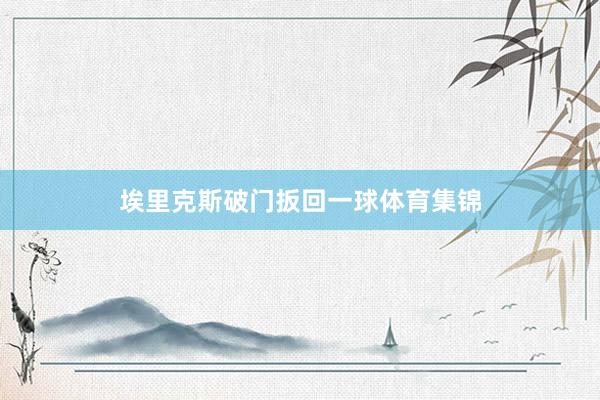 埃里克斯破门扳回一球体育集锦