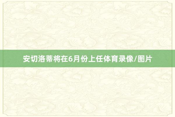 安切洛蒂将在6月份上任体育录像/图片