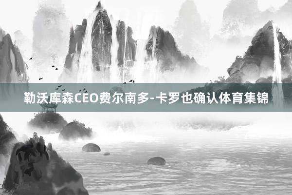勒沃库森CEO费尔南多-卡罗也确认体育集锦