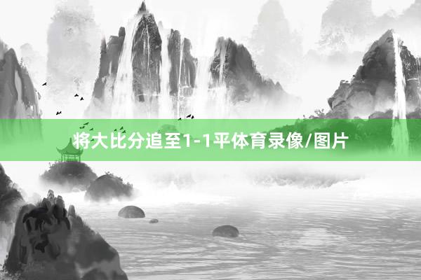 将大比分追至1-1平体育录像/图片