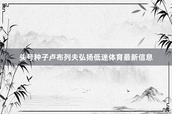 头号种子卢布列夫弘扬低迷体育最新信息