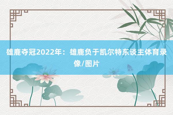 雄鹿夺冠2022年：雄鹿负于凯尔特东谈主体育录像/图片