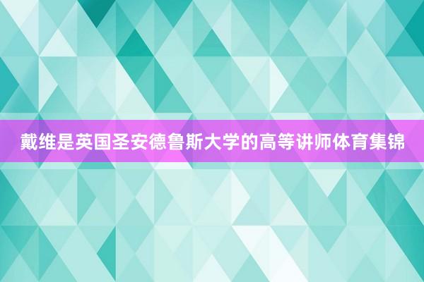戴维是英国圣安德鲁斯大学的高等讲师体育集锦