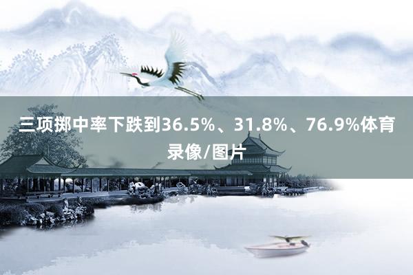 三项掷中率下跌到36.5%、31.8%、76.9%体育录像/图片