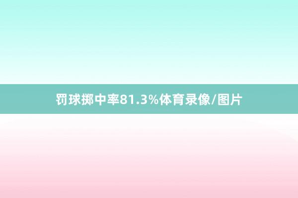 罚球掷中率81.3%体育录像/图片