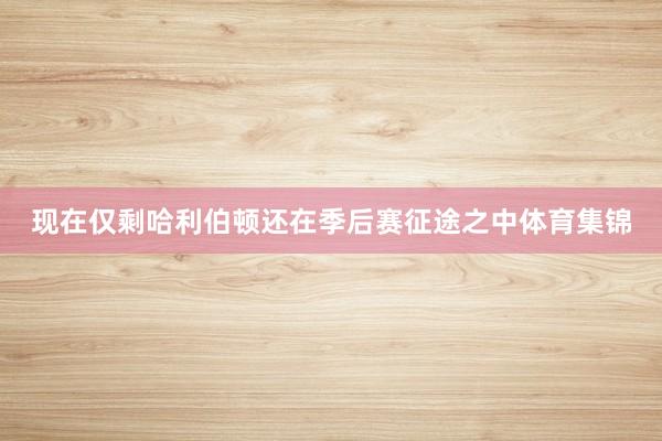 现在仅剩哈利伯顿还在季后赛征途之中体育集锦