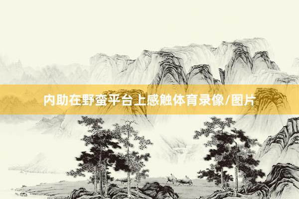 内助在野蛮平台上感触体育录像/图片