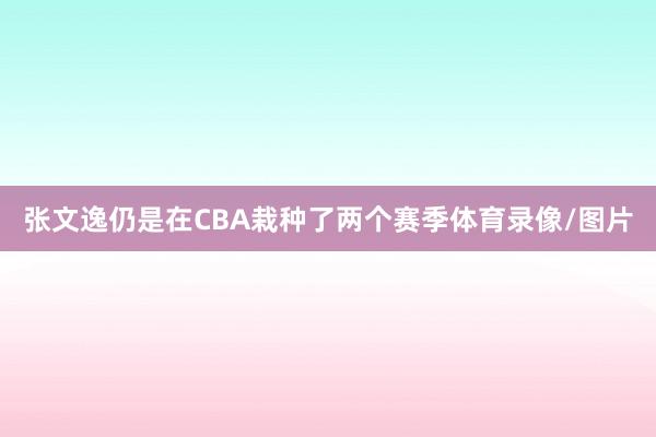 张文逸仍是在CBA栽种了两个赛季体育录像/图片