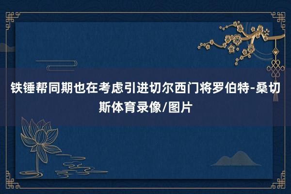 铁锤帮同期也在考虑引进切尔西门将罗伯特-桑切斯体育录像/图片