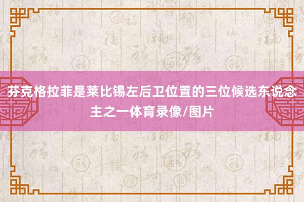 芬克格拉菲是莱比锡左后卫位置的三位候选东说念主之一体育录像/图片