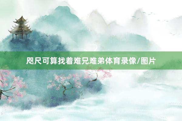 咫尺可算找着难兄难弟体育录像/图片
