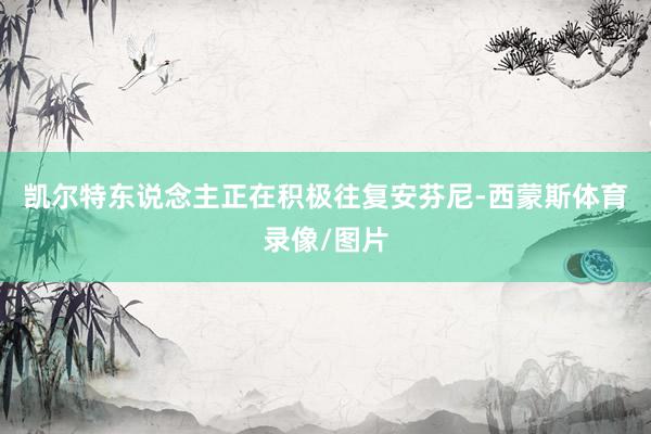 凯尔特东说念主正在积极往复安芬尼-西蒙斯体育录像/图片