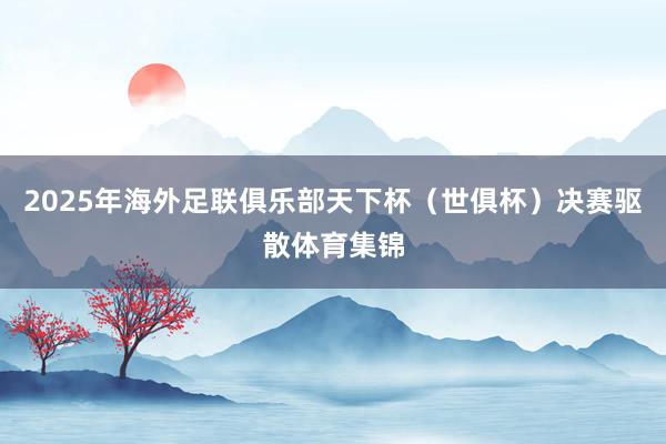 2025年海外足联俱乐部天下杯（世俱杯）决赛驱散体育集锦