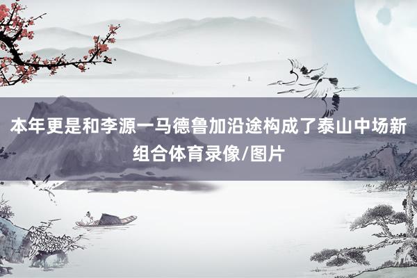 本年更是和李源一马德鲁加沿途构成了泰山中场新组合体育录像/图片
