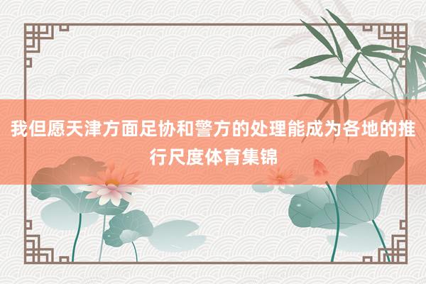 我但愿天津方面足协和警方的处理能成为各地的推行尺度体育集锦