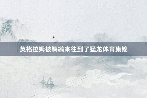 英格拉姆被鹈鹕来往到了猛龙体育集锦