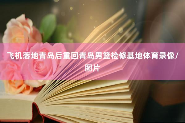 飞机落地青岛后重回青岛男篮检修基地体育录像/图片