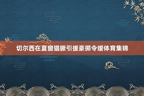 切尔西在夏窗猖獗引援豪掷令嫒体育集锦