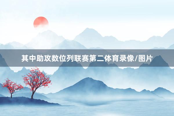 其中助攻数位列联赛第二体育录像/图片