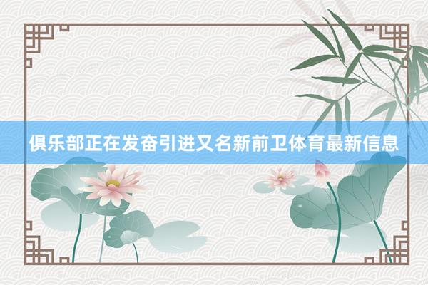 俱乐部正在发奋引进又名新前卫体育最新信息