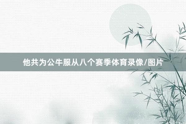 他共为公牛服从八个赛季体育录像/图片