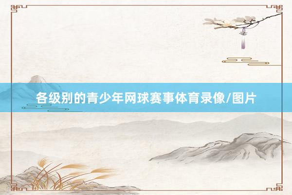 各级别的青少年网球赛事体育录像/图片